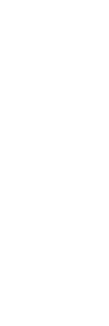 鶏料理